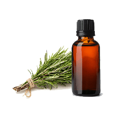 Rosemary Pure Essential Oil 